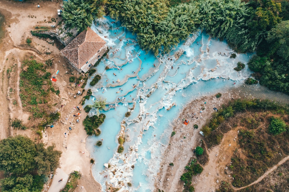 aerial photography of trees and houses