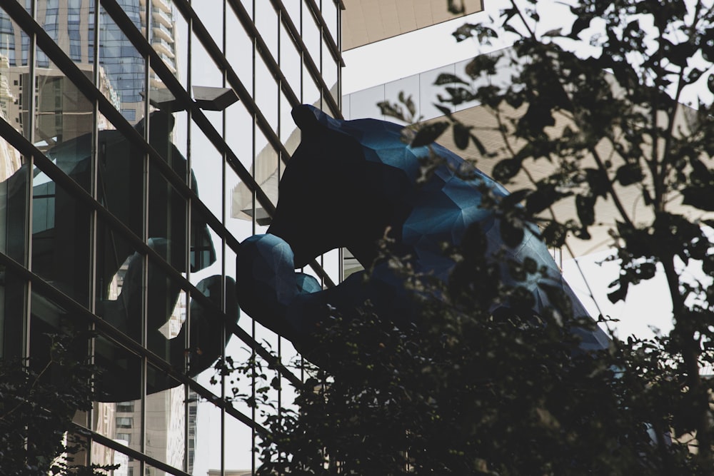 architectural photography of glass building