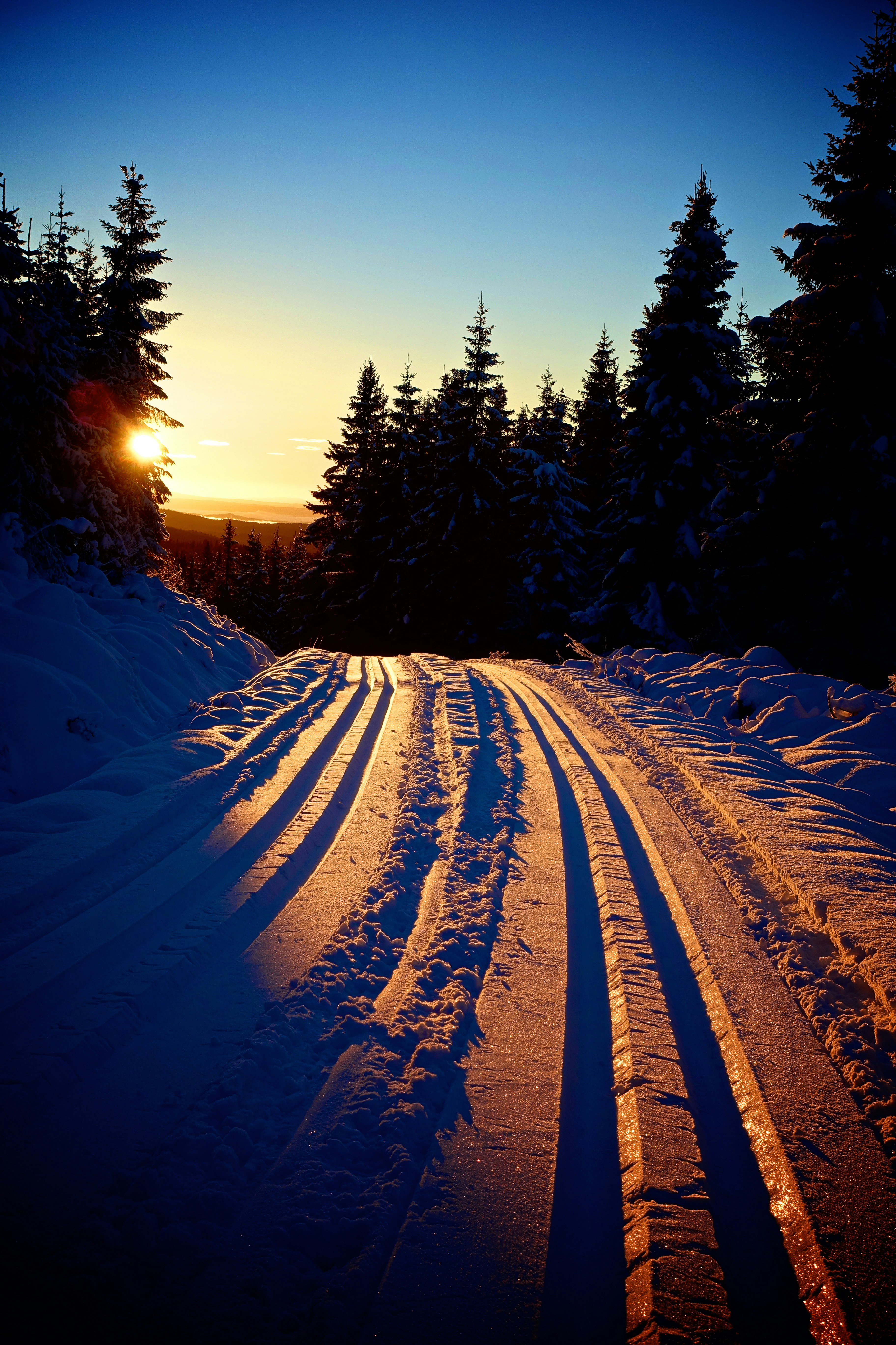 Photo by christergundersen