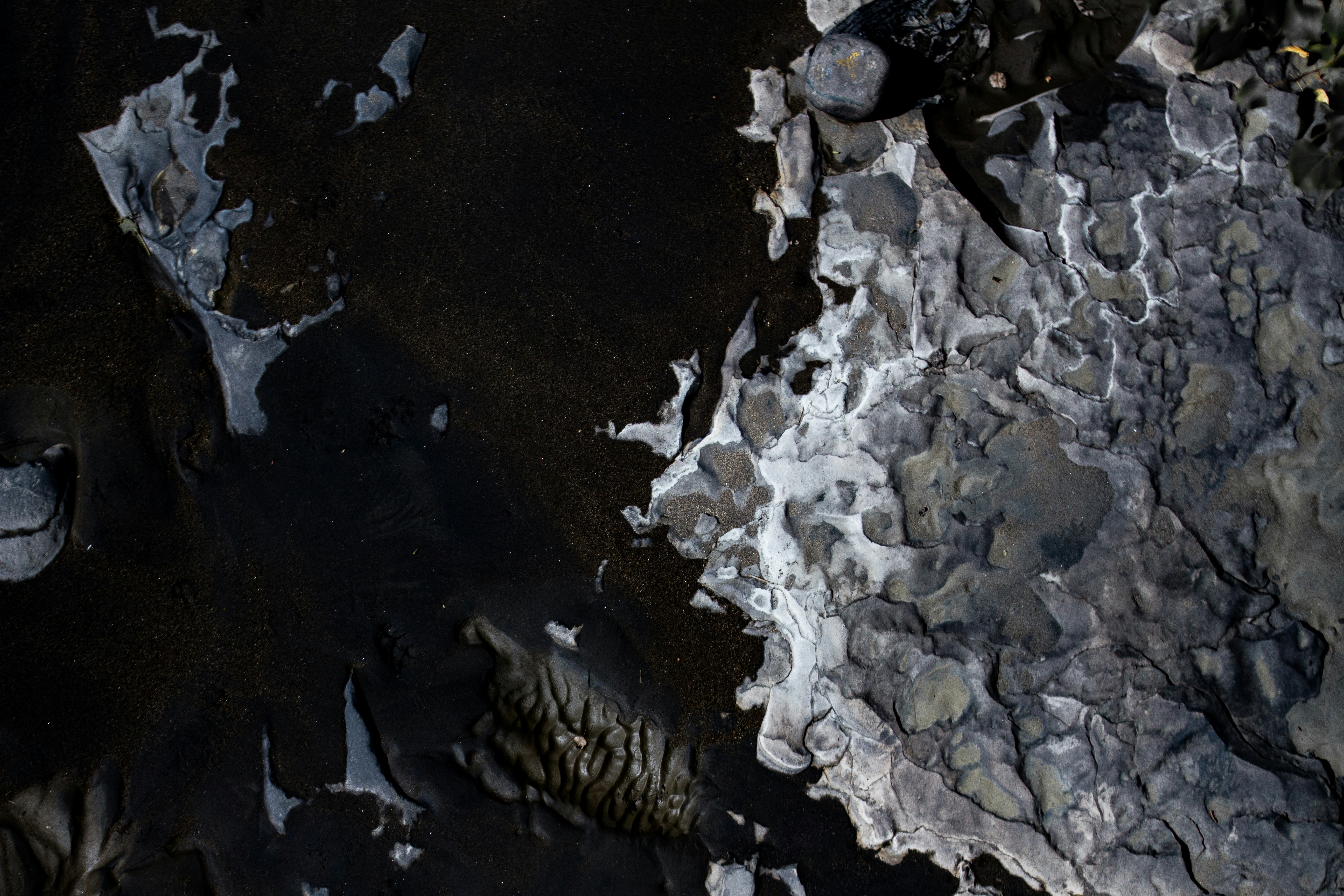 Photo by sahand_hoseini