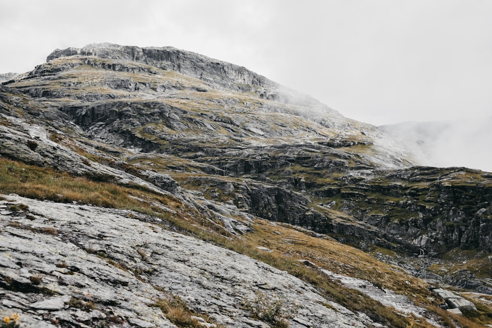 Montaña verde y gris