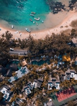 high angle photo of houses and trees