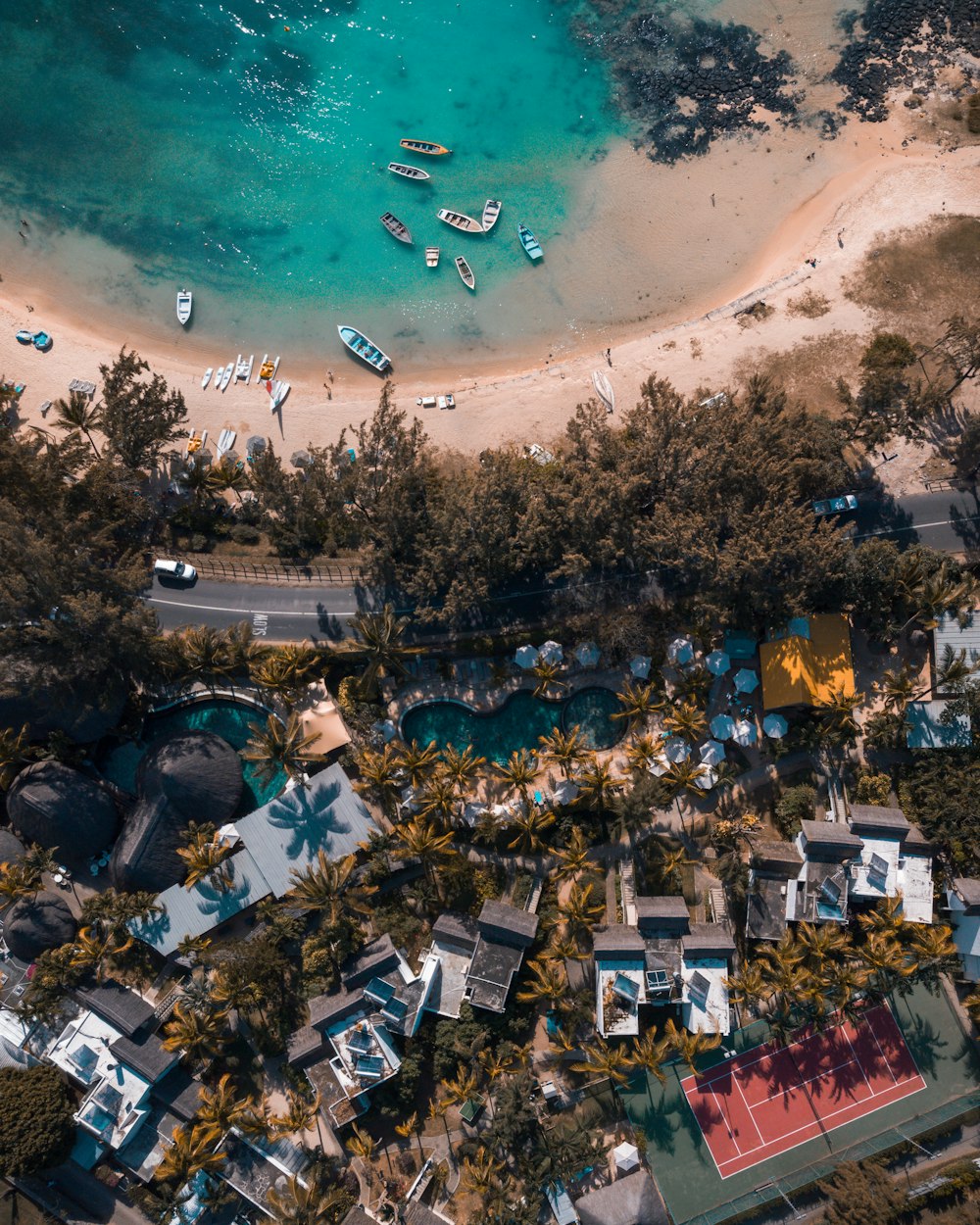 high angle photo of houses and trees