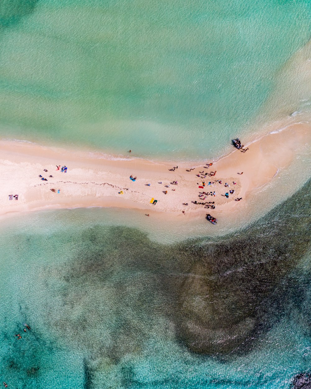 aerial photo of shore