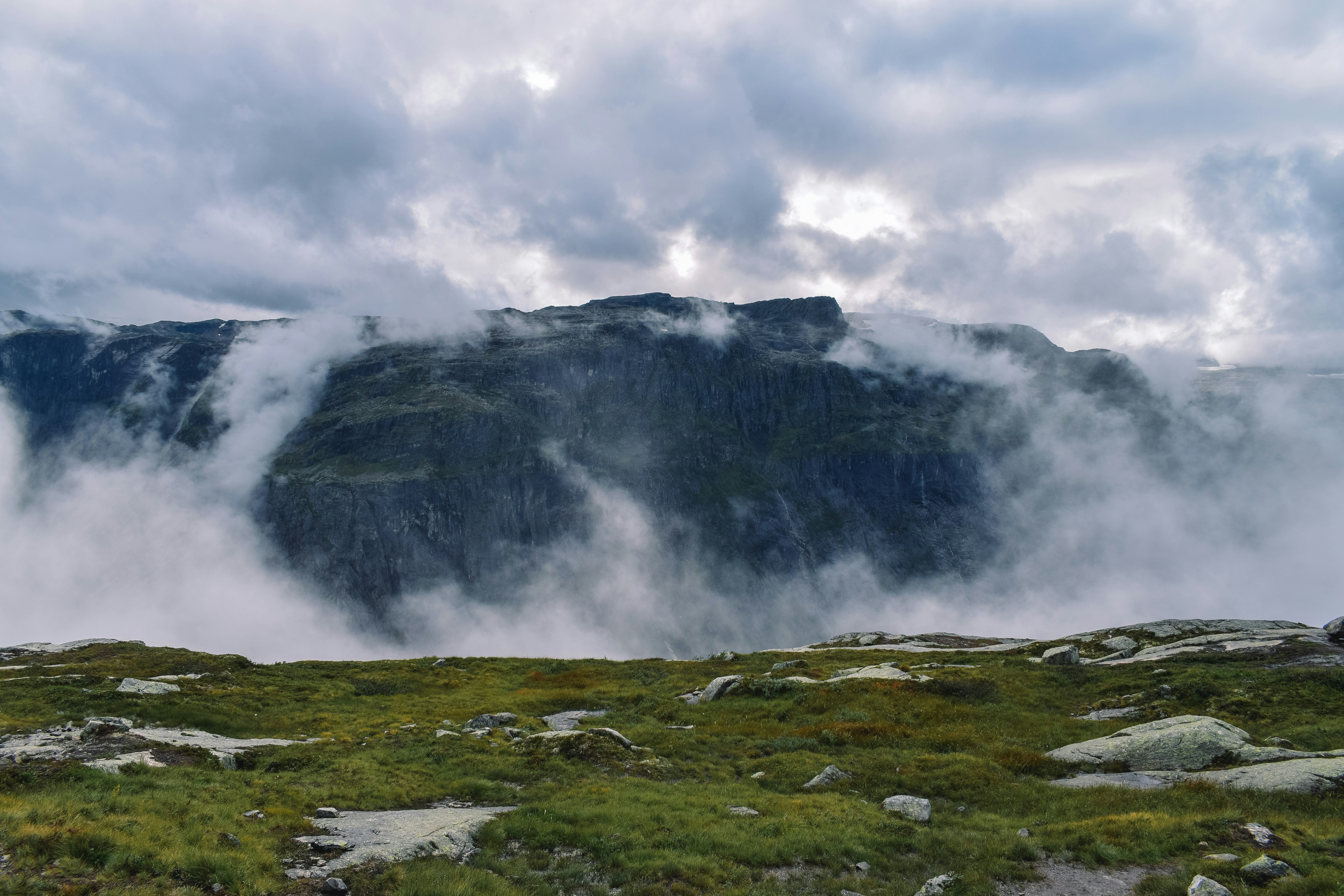 Photo by darya_tryfanava