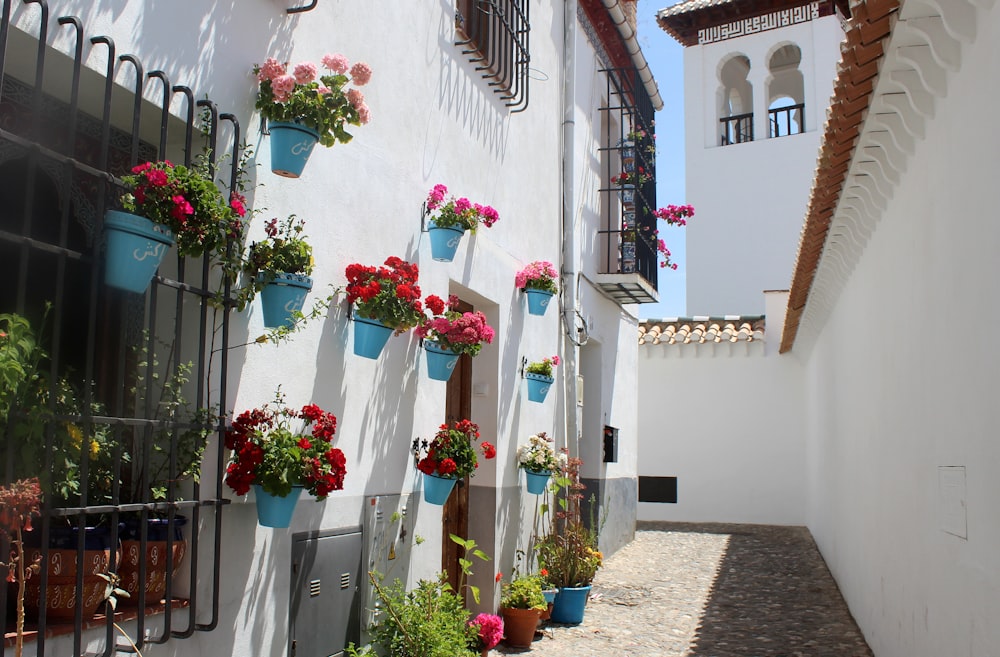 blue plant pots hanging on white wall