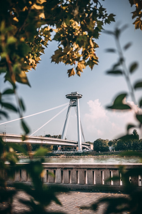 Exploring Bratislava's Authentic Cuisine: Local Dishes, Restaurants & Recipes