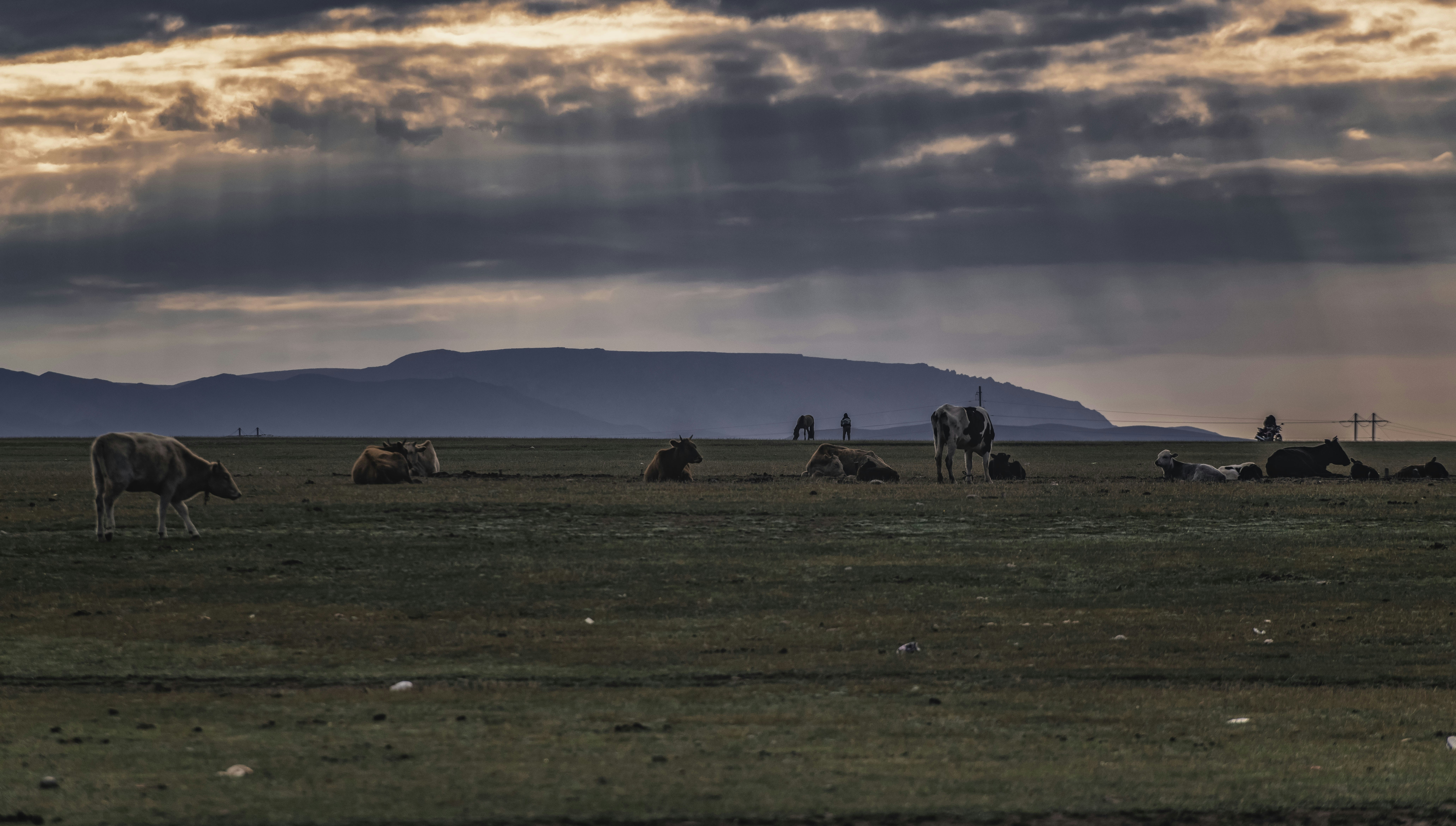 Photo by zhaochen1975