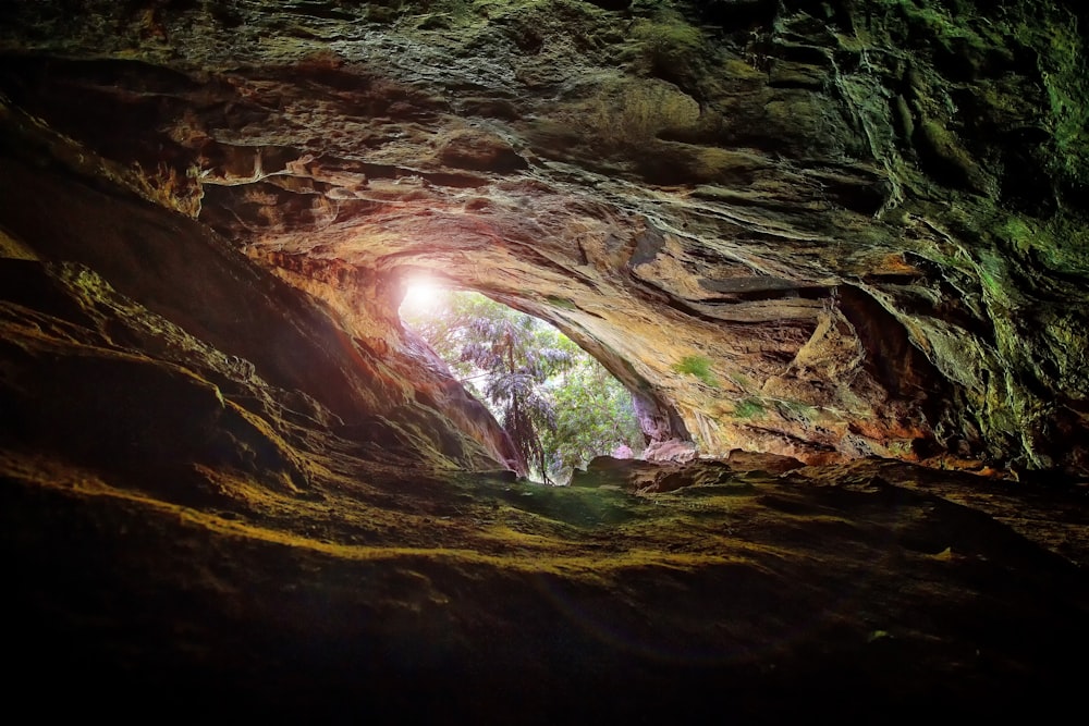 昼間の洞窟のセレクティブフォーカス撮影