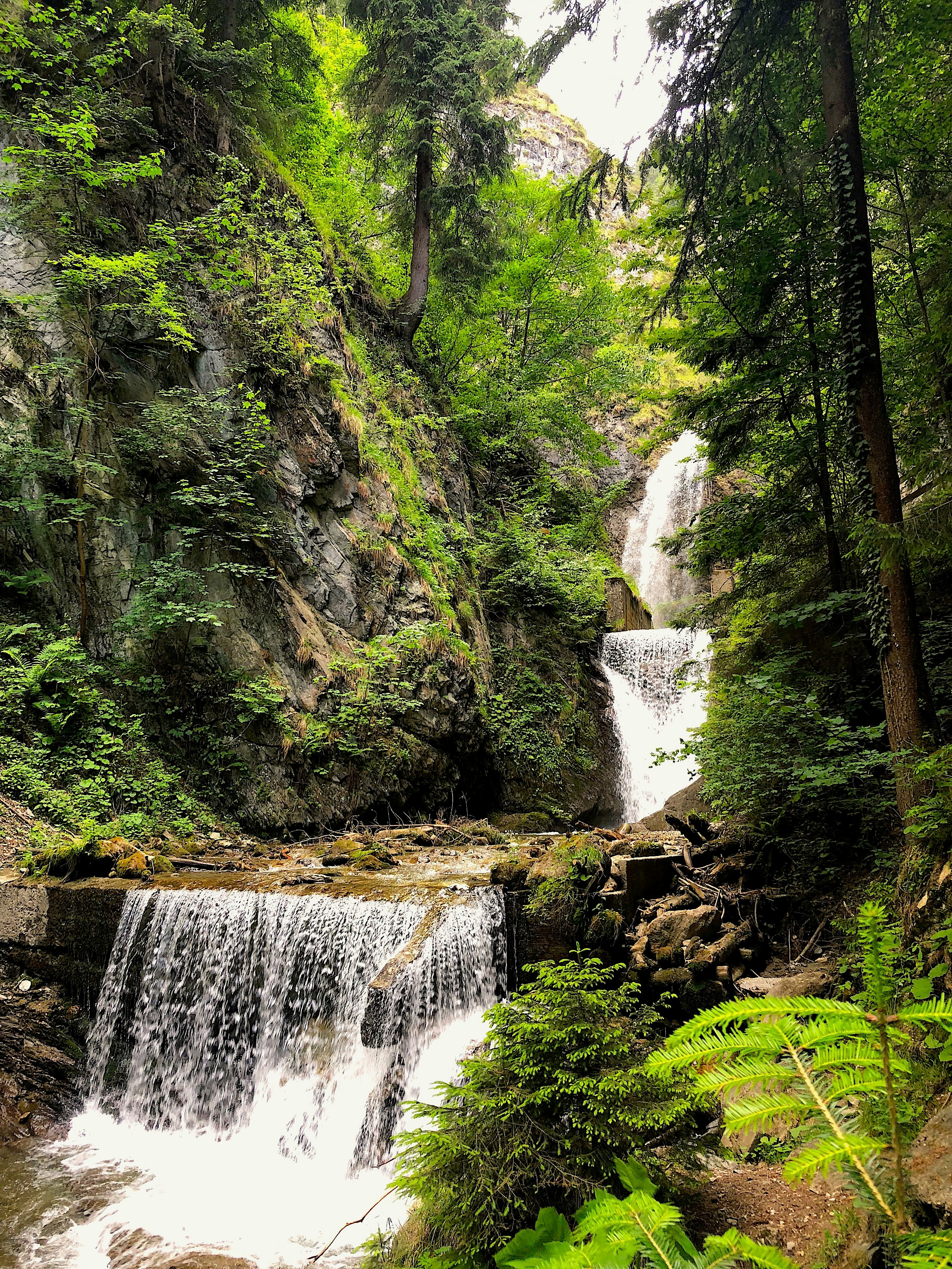 Photo by barrystriker