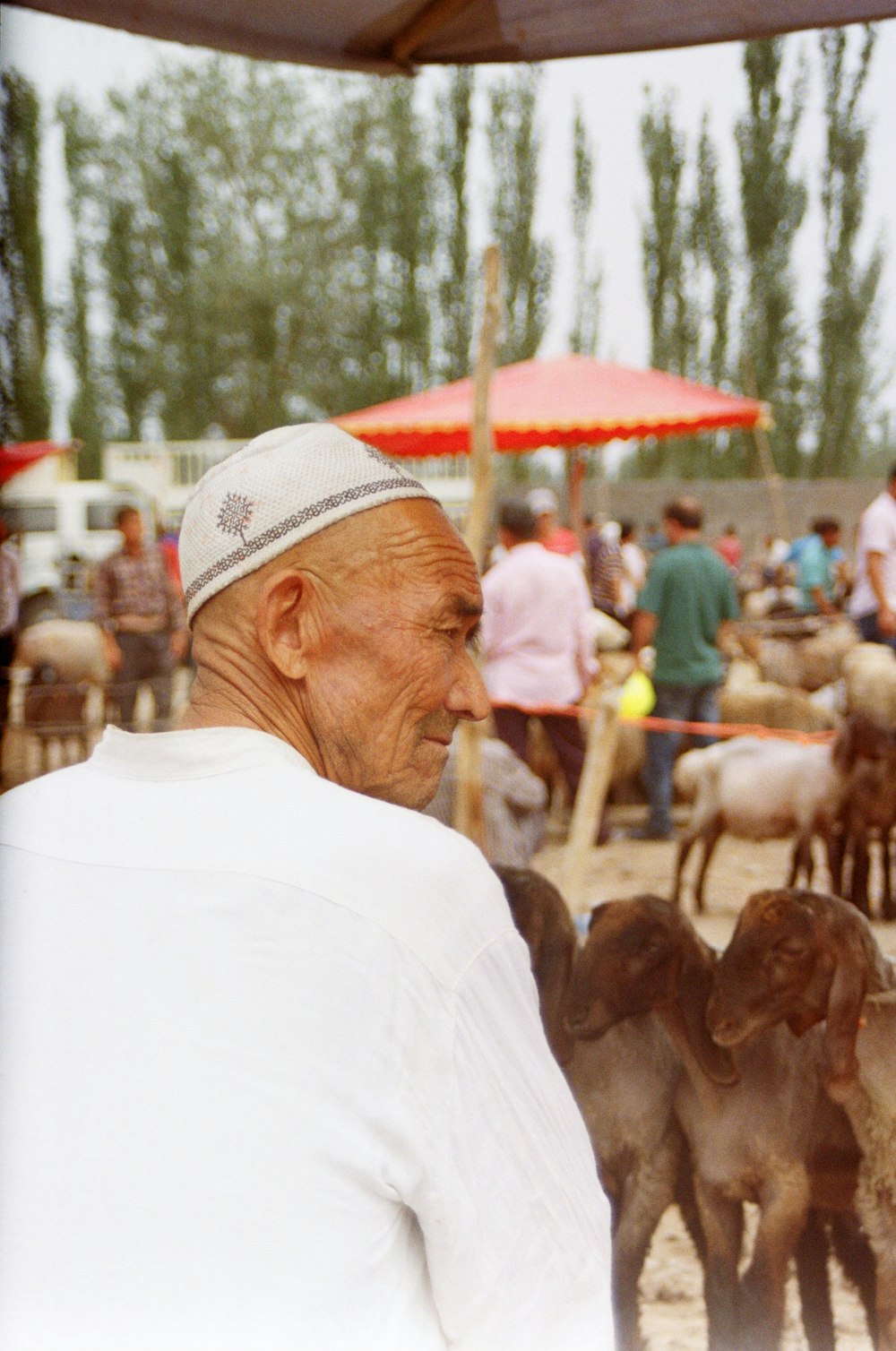 man in white shirt and taqiyah cap