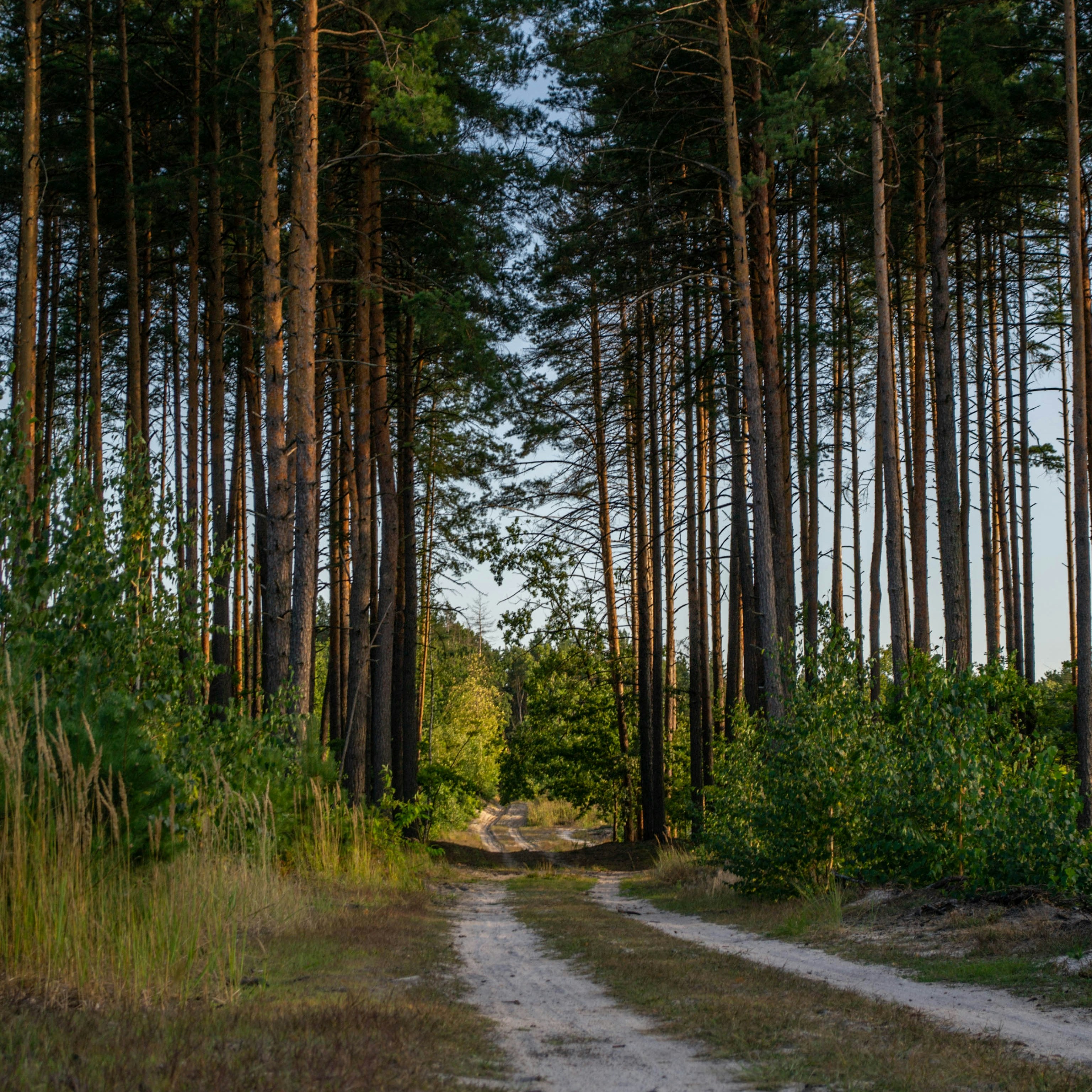 Photo by nikita_maidan