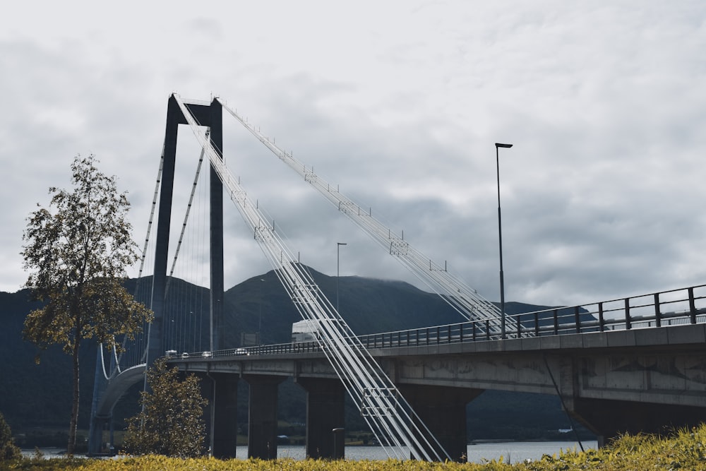 gray full-suspension bridge
