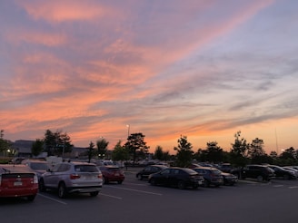 A sunset view of a car lot with various vehicles.