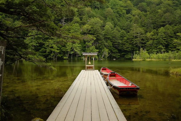 Nagano Cuisine Guide: Traditional Dishes and Famous Eateries