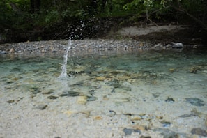 Chunkyberto splashing through a shallow creek, water droplets sparkling around.