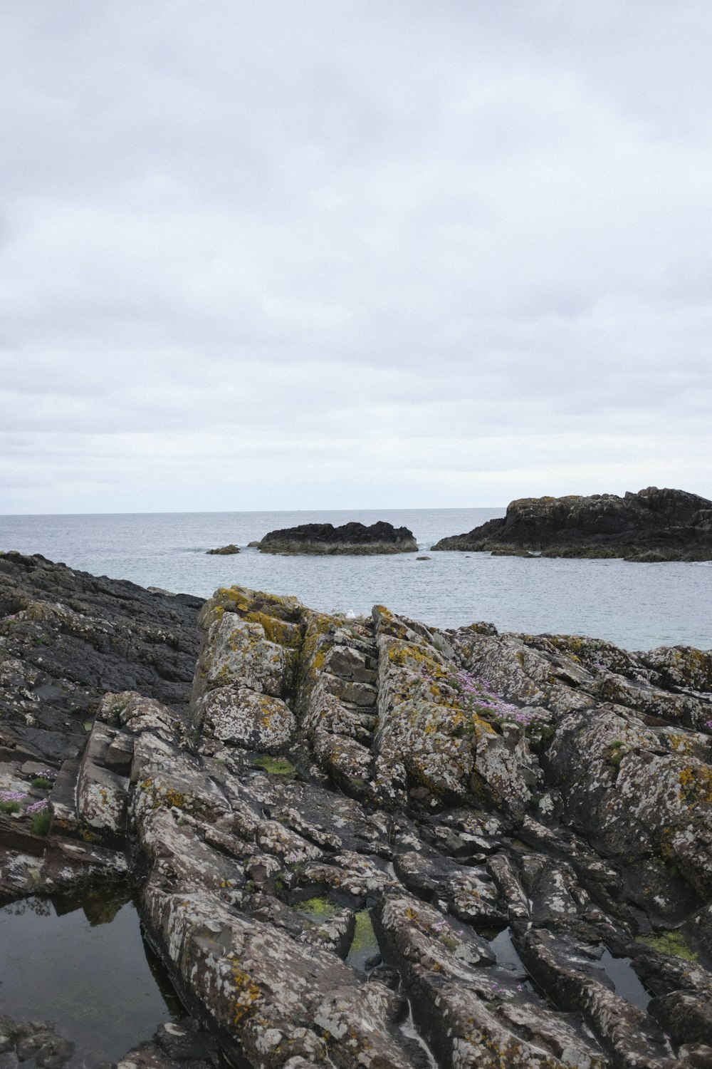 photography of seashore during daytime