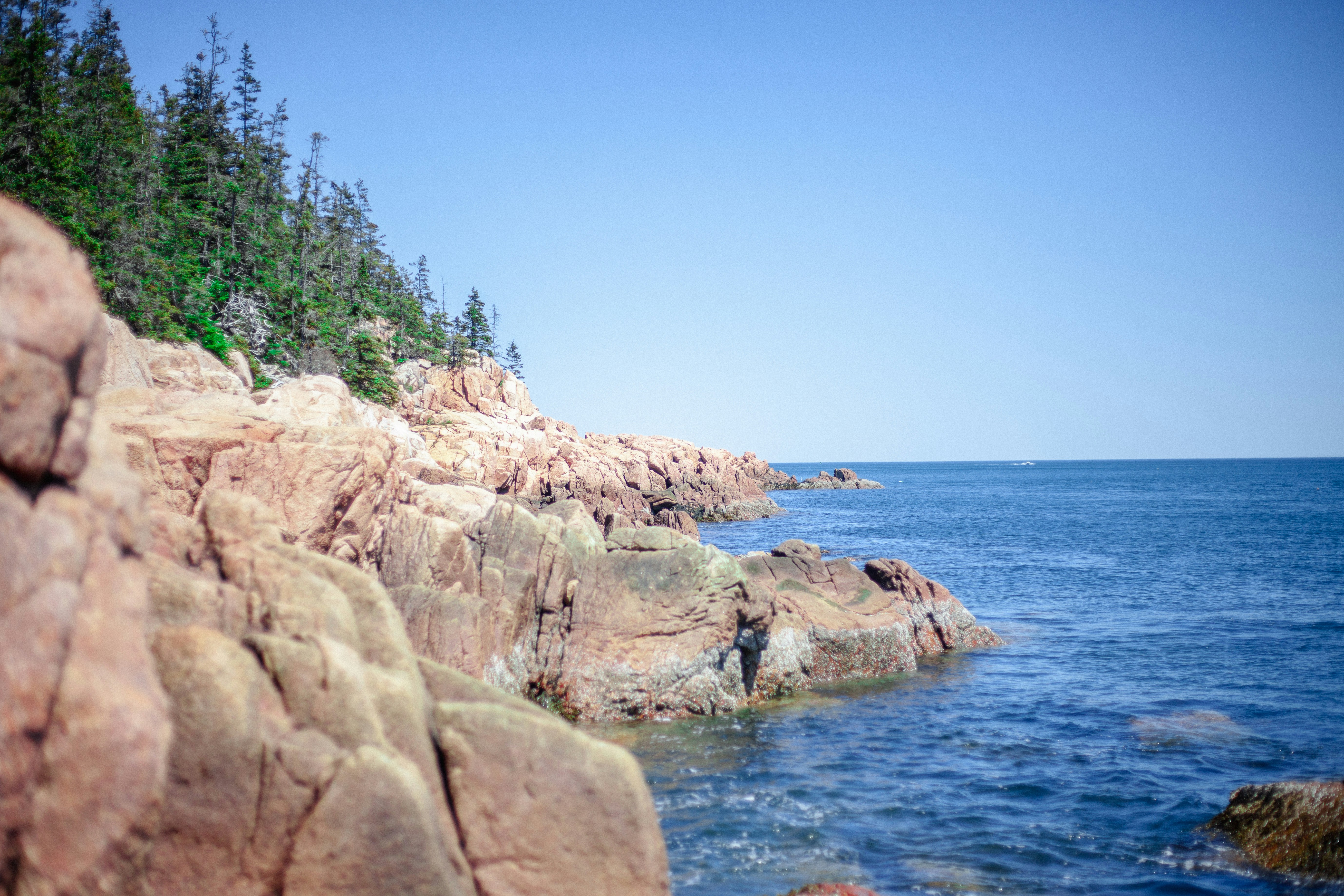 Photo by reallygoodjames