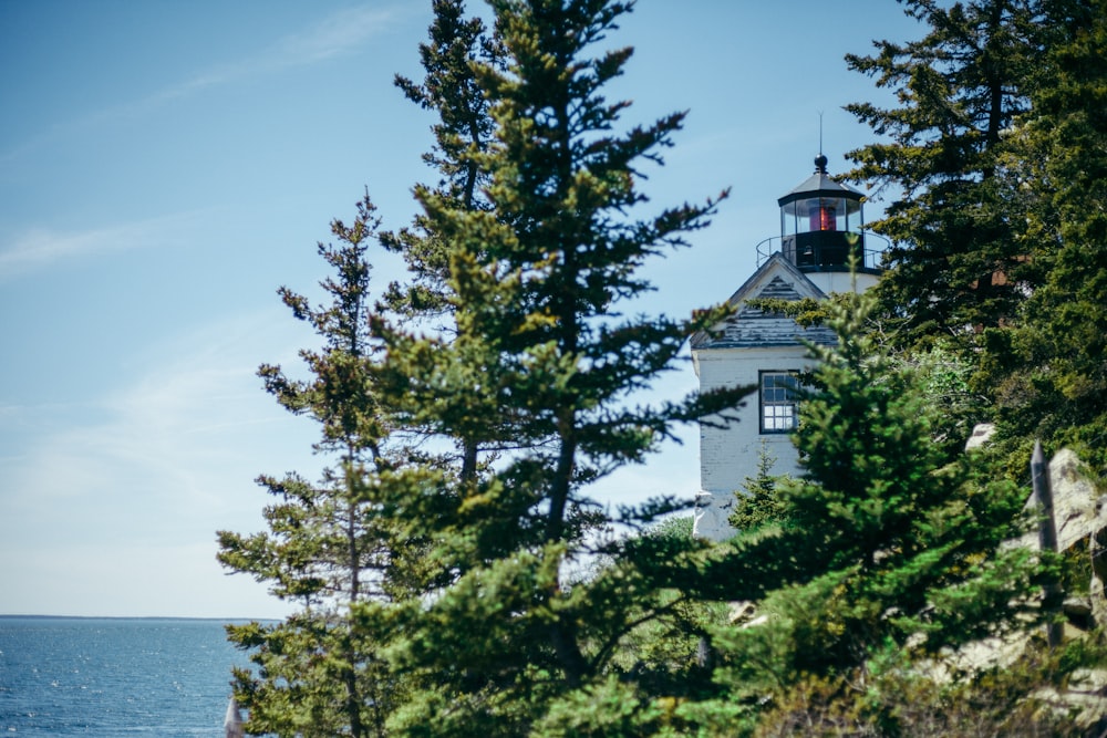 white concrete building beside pine trees