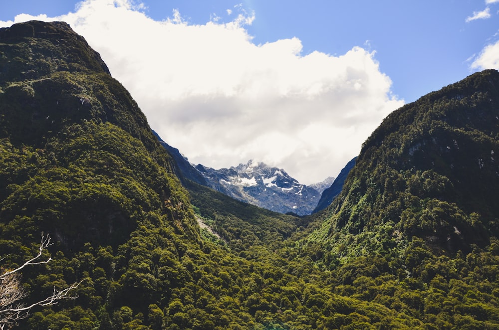 photography of mountain range during daytime