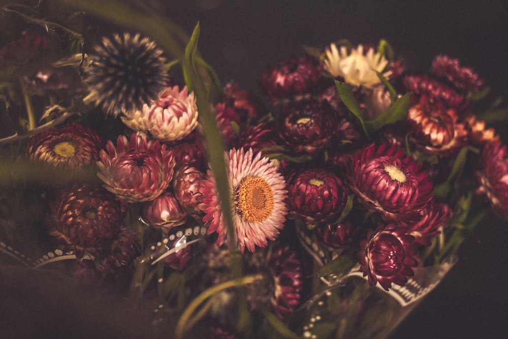 pink flowers bouquet