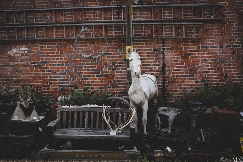 white concrete horse statue beside gray wooden outdoor bench