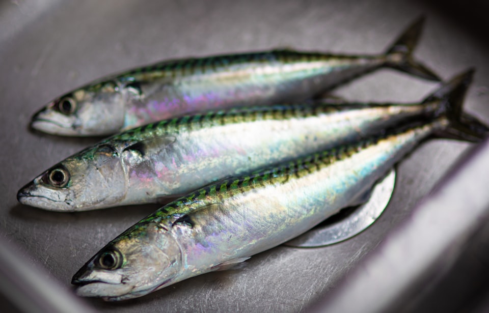 Questi 5 incredibili benefici delle sardine