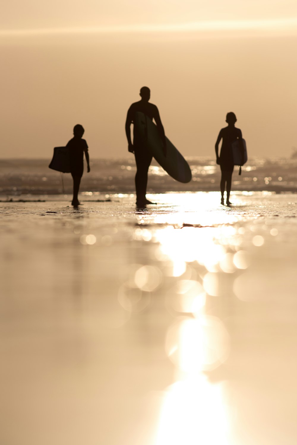 silhouette of person holding surfboard