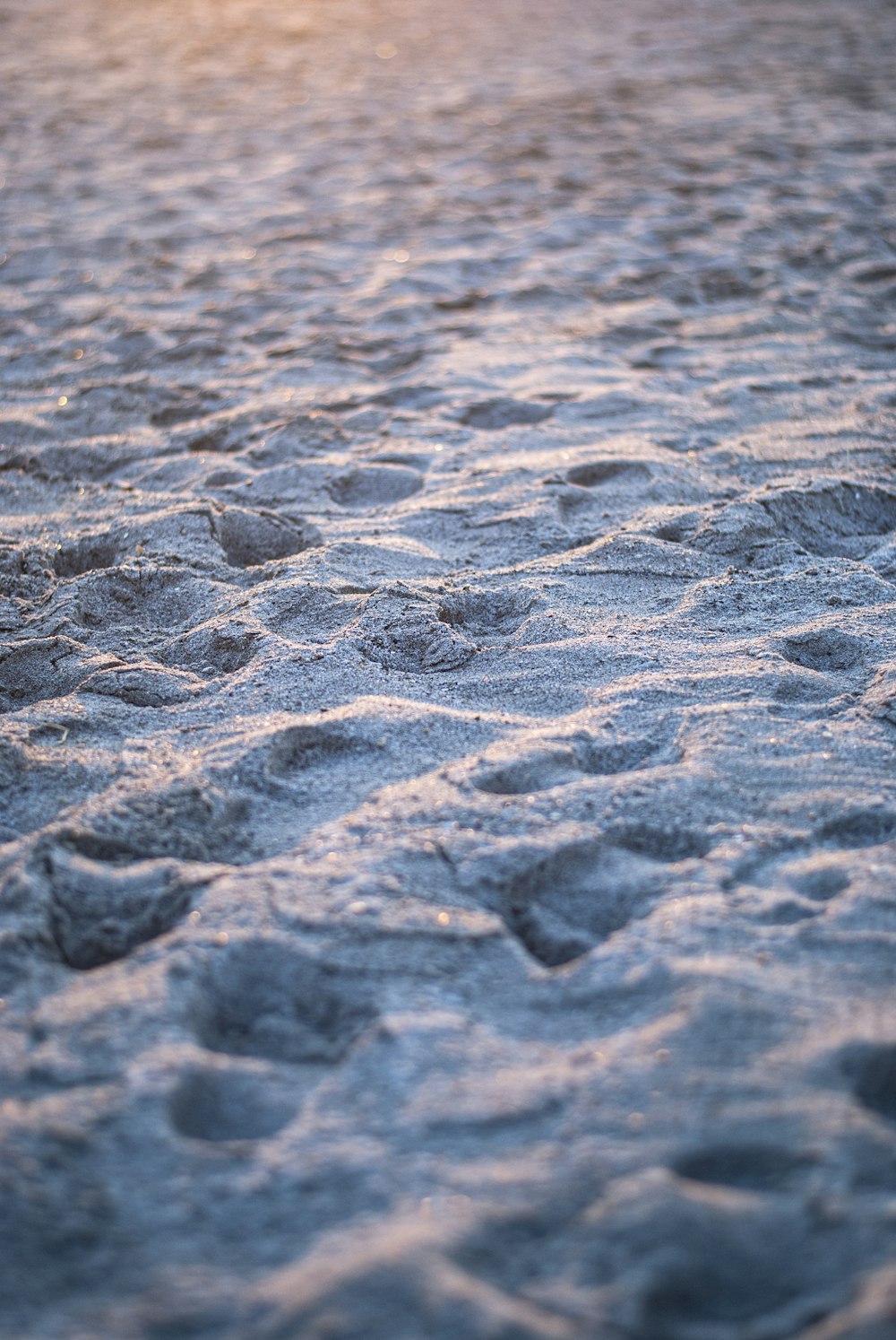 a close up of a beach with footprints in the sand