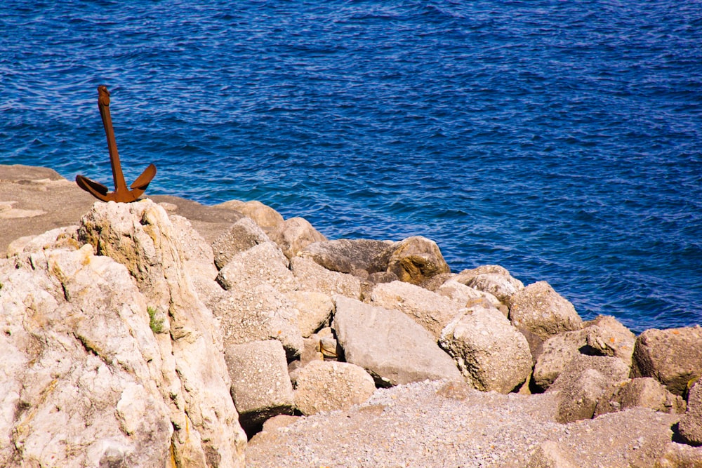 brown rock formation near body of water