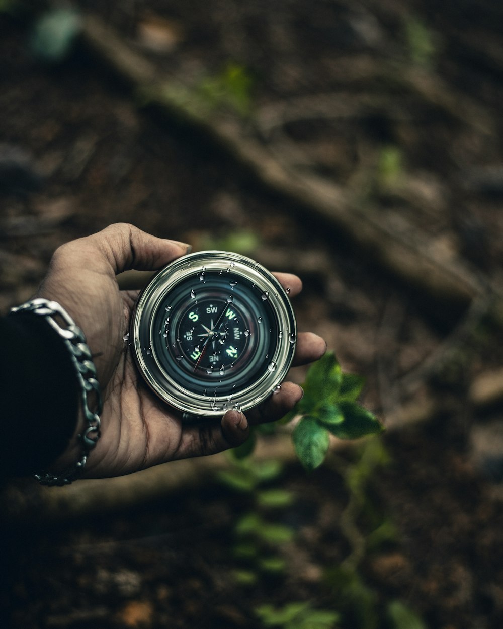 person holding compass