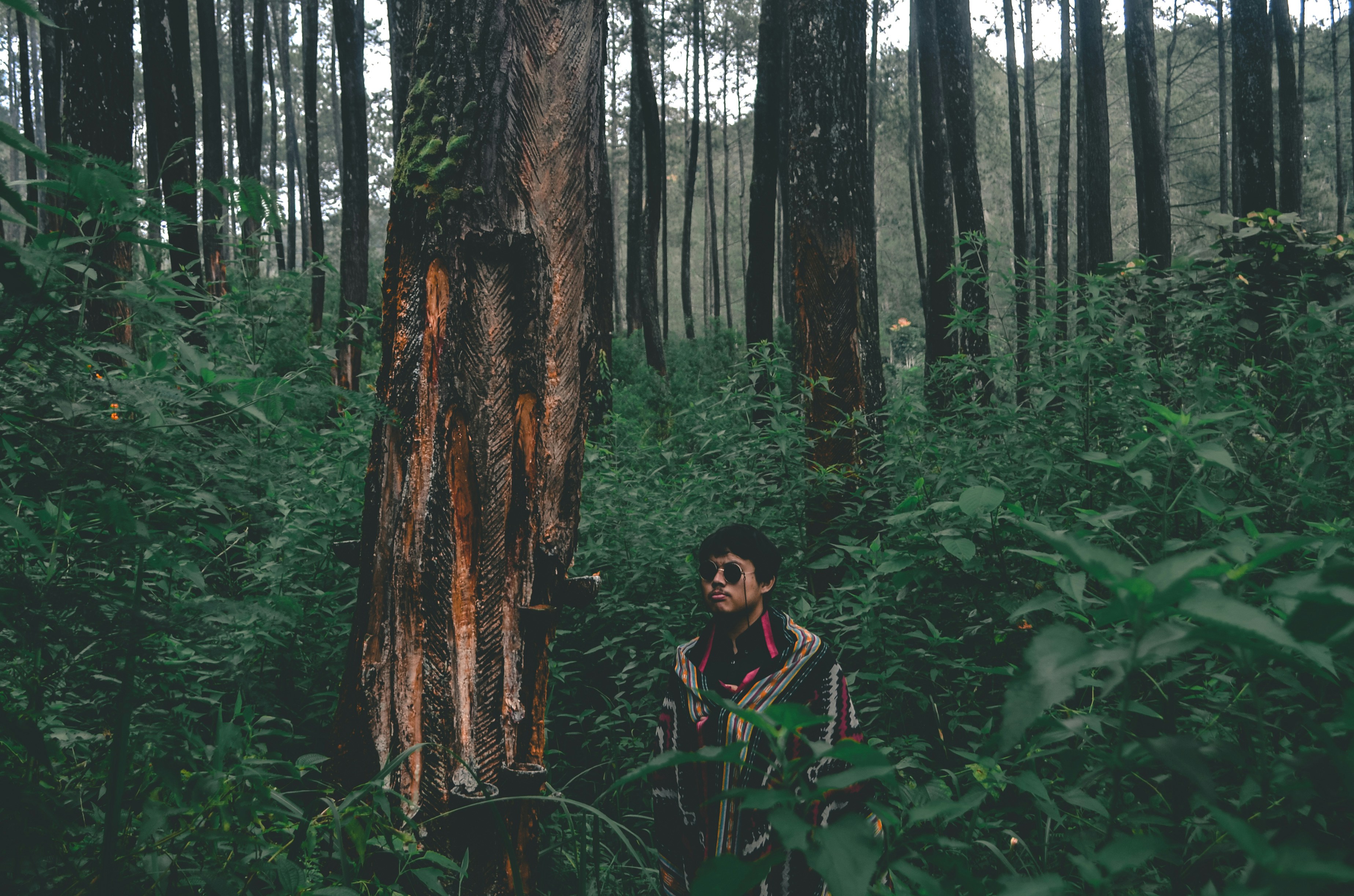 Photo by rizalfahmind