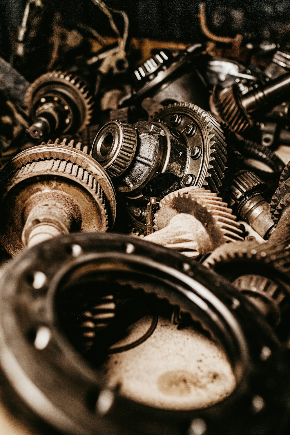 assorted gears macro photography