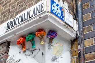 A street corner features an art installation with colorful broccoli sculptures mounted on the wall. The wall is painted white and has a street sign reading 'BROCCOLI LANE'. Nearby, there is a pixel art mosaic and a small sign with 'PRESS THIS BUTTON TO DISAPPEAR'. The scene is set against a backdrop of brick walls.