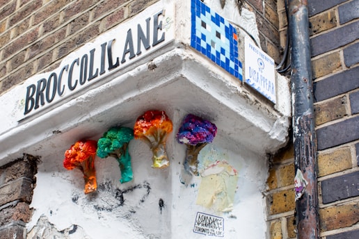 A street corner features an art installation with colorful broccoli sculptures mounted on the wall. The wall is painted white and has a street sign reading 'BROCCOLI LANE'. Nearby, there is a pixel art mosaic and a small sign with 'PRESS THIS BUTTON TO DISAPPEAR'. The scene is set against a backdrop of brick walls.