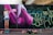 A person is spray painting a large mural on a wall featuring vibrant pink and purple flower-like shapes. The person is wearing casual clothing and standing on a small step stool. A variety of spray paint cans are scattered on the ground nearby. The wall is also covered with green and yellow graffiti-style writing.