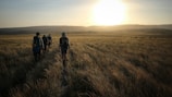 A group of people hiking through a vast, grassy plain with the sun setting on the horizon, casting an ethereal glow over the landscape. They carry backpacks and walking sticks, moving towards the fading light. The grass is long and windswept, adding a sense of movement to the scene.