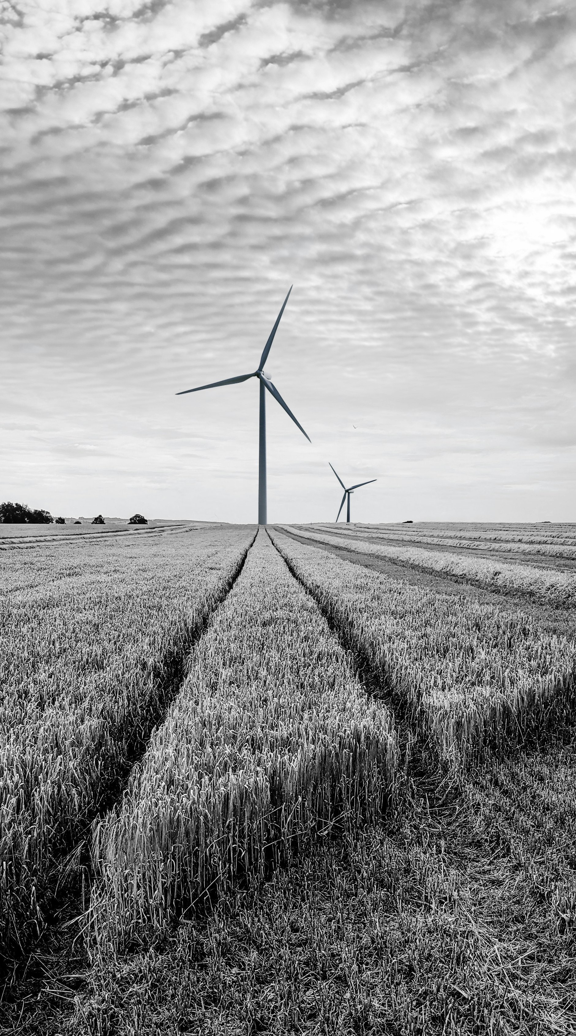 wind turbine in field