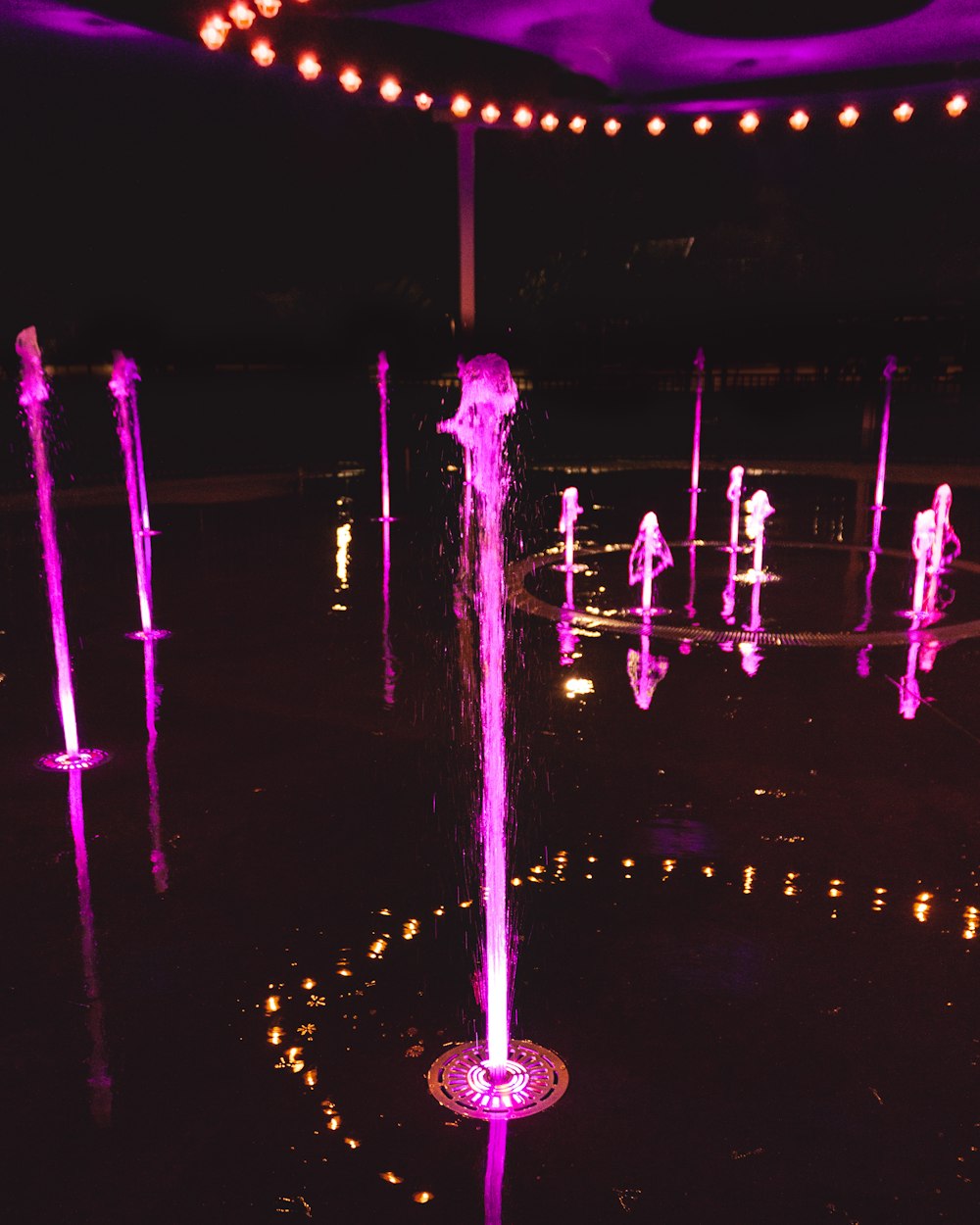 purple fountain at night time
