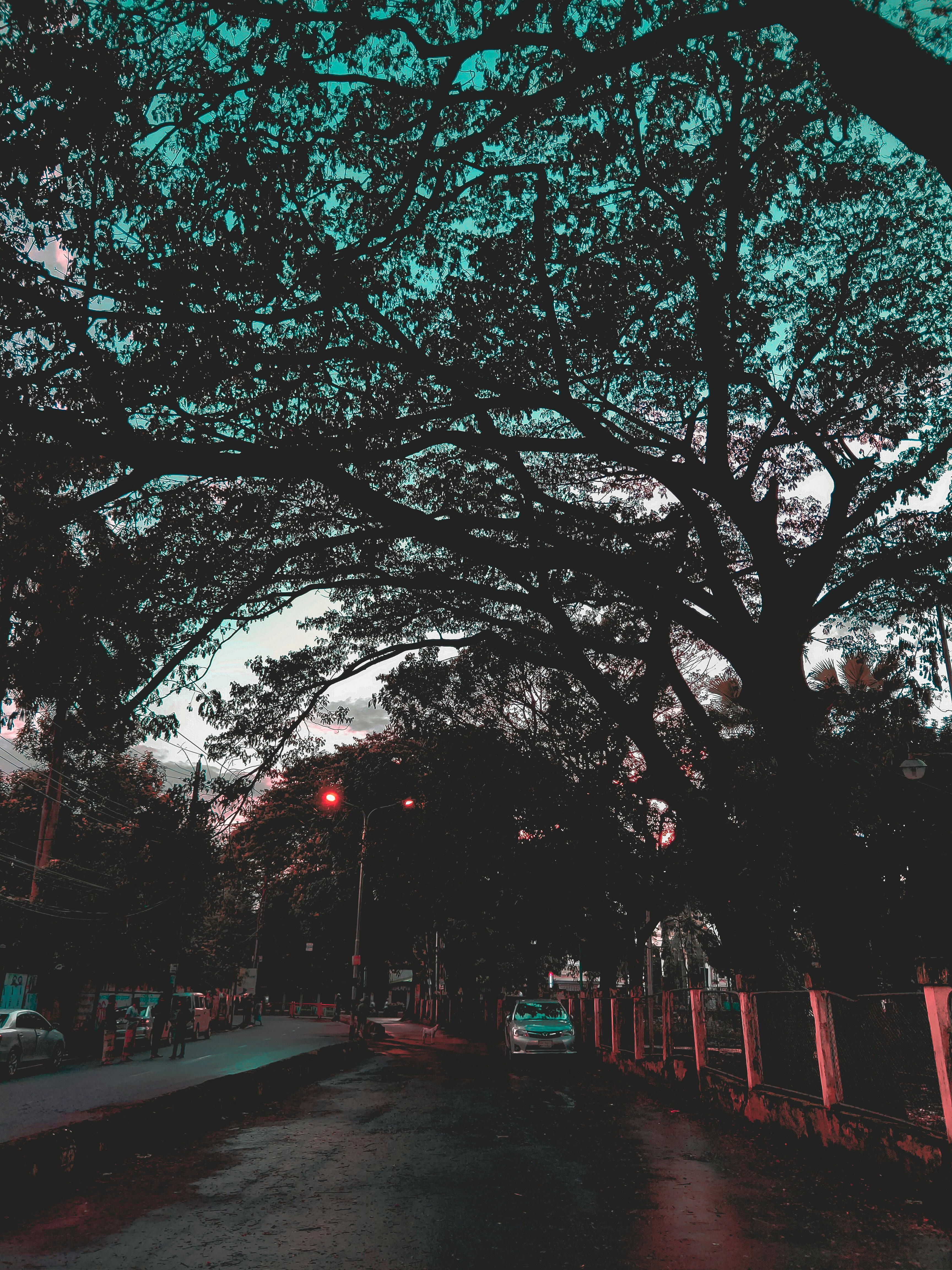 Photo by udoyyyy
