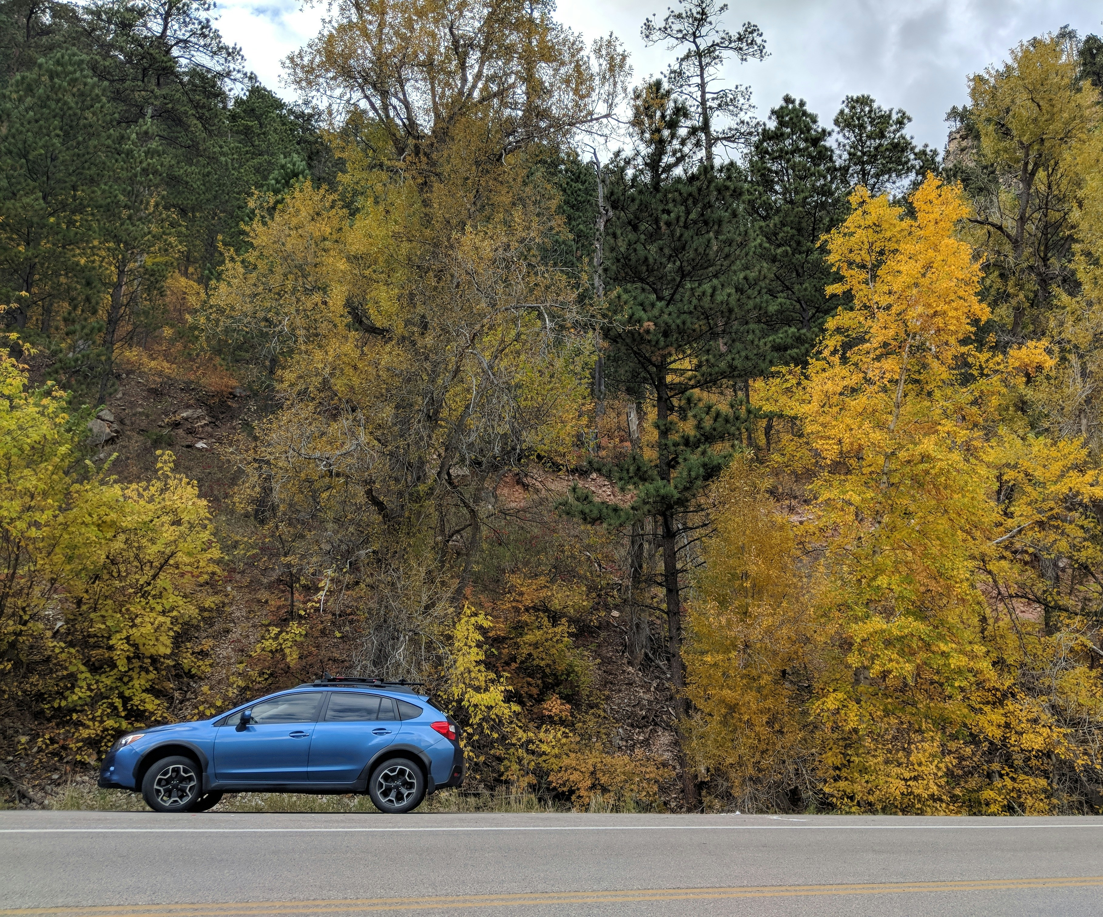 Scenic drive through Custer State Park surrounded by forests and autumn colors.