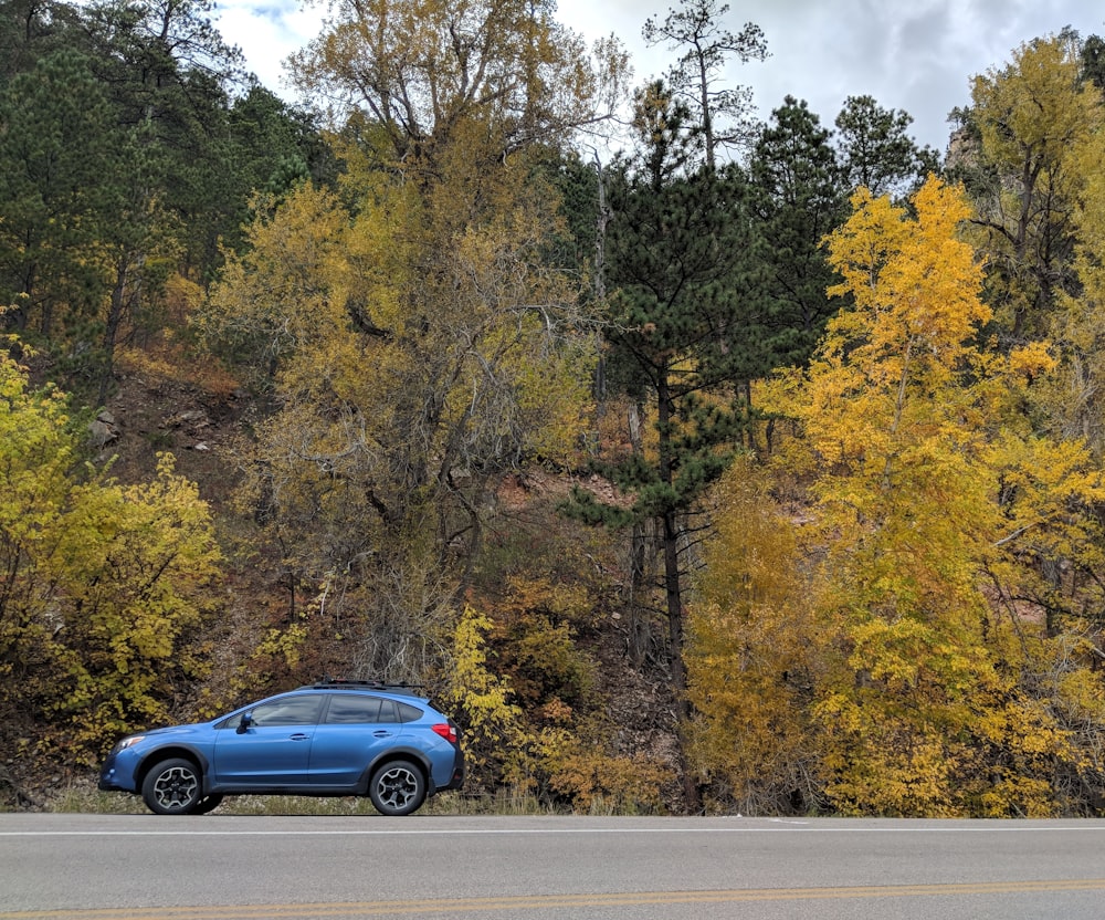 parked blue 5-door hatchback on forest
