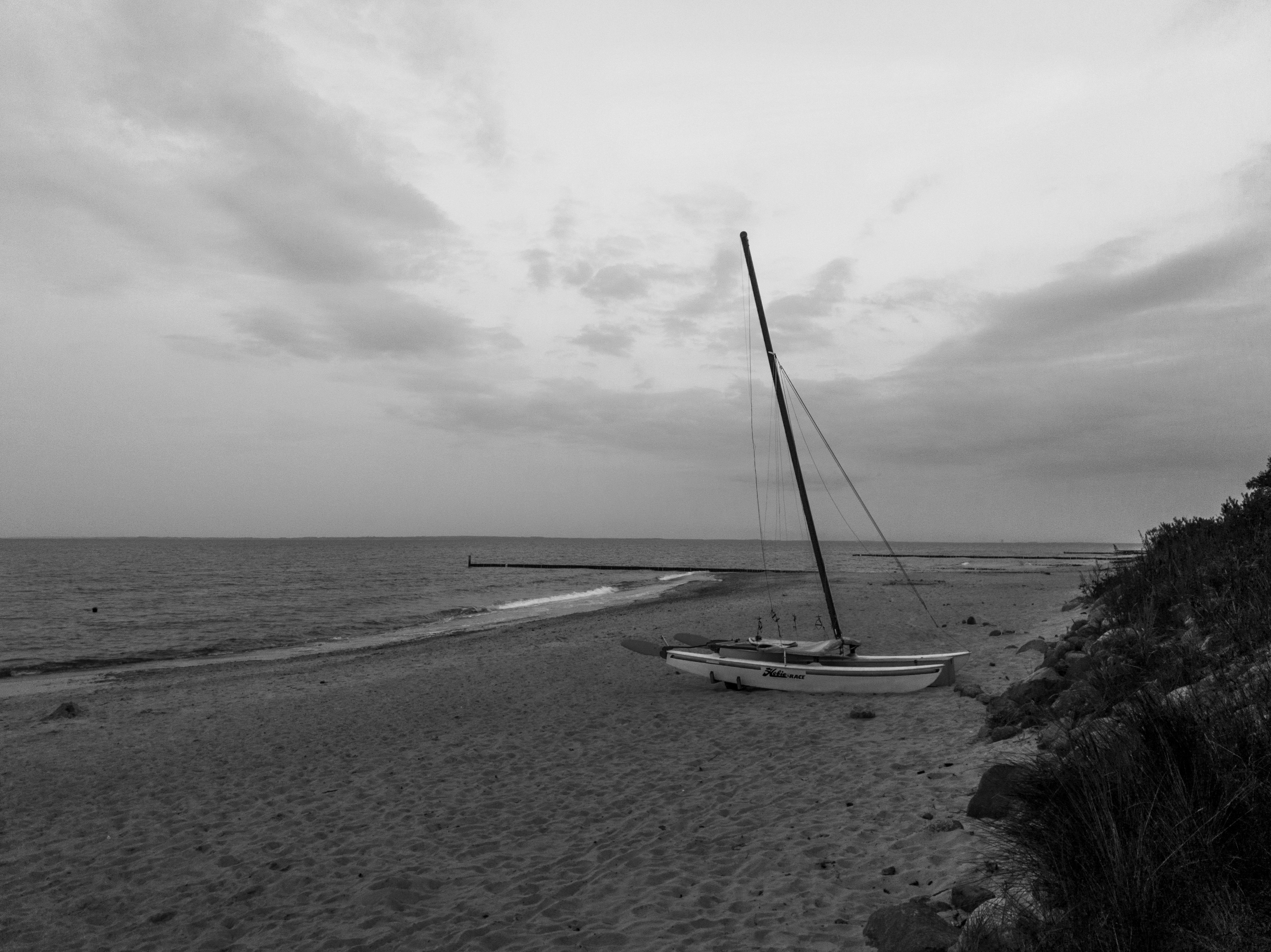 Photo by aleksandarr09