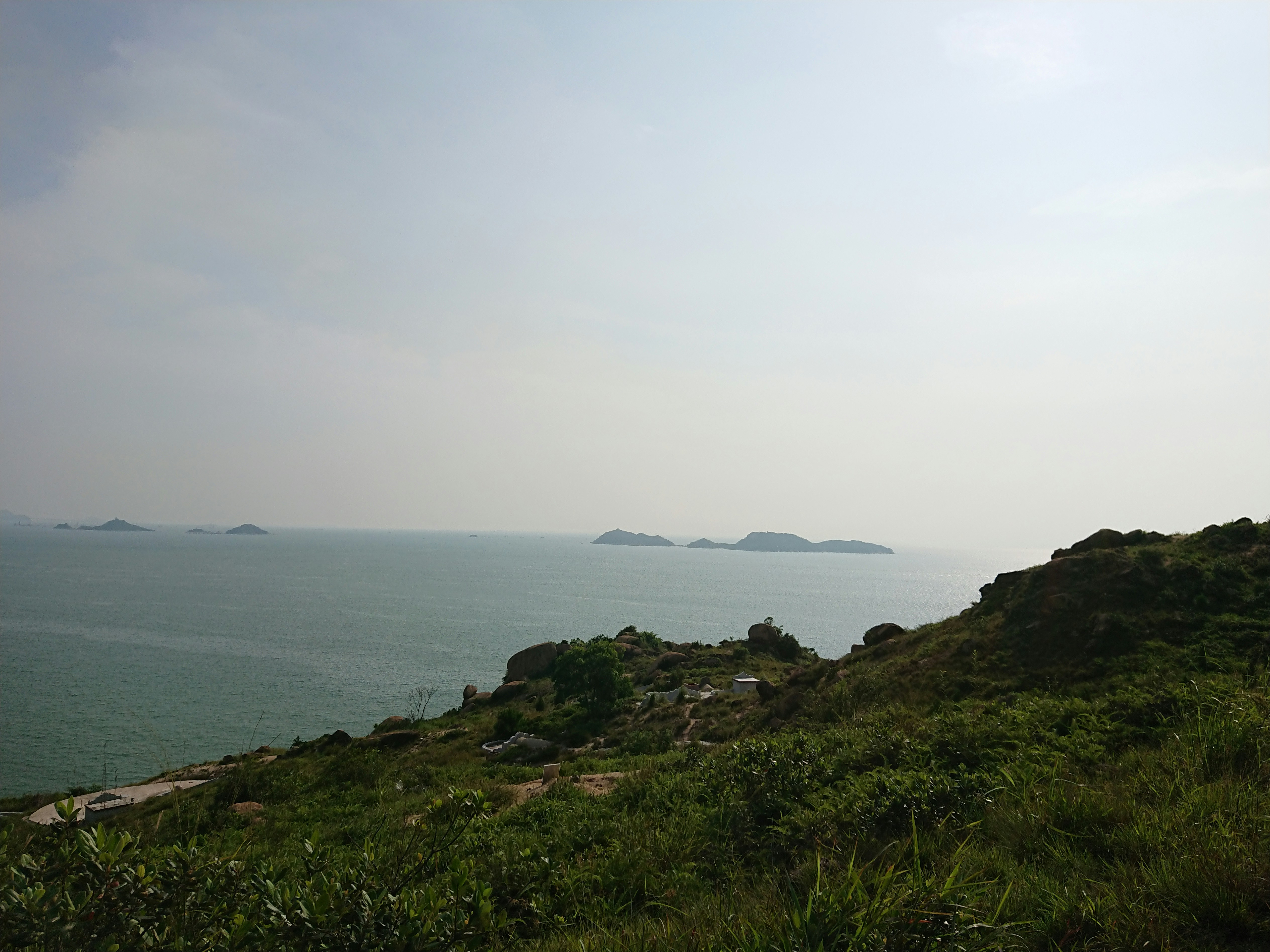 green grass field and body of water