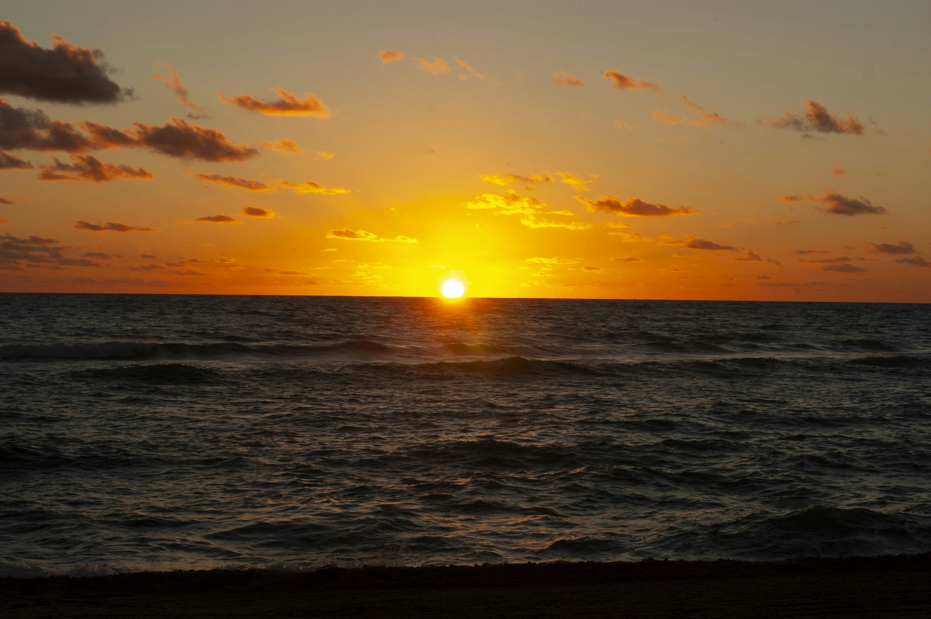 Photo by haromemelet