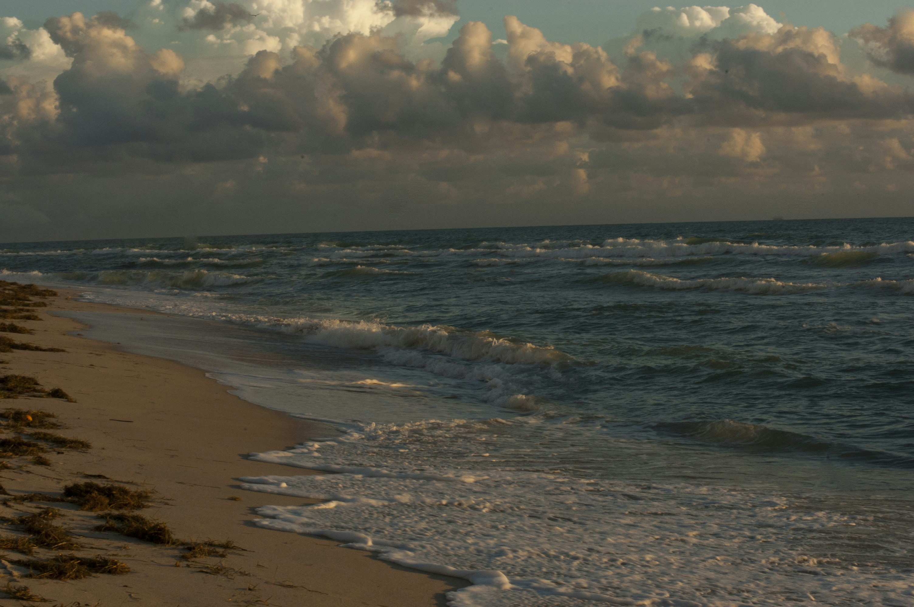 Photo by haromemelet