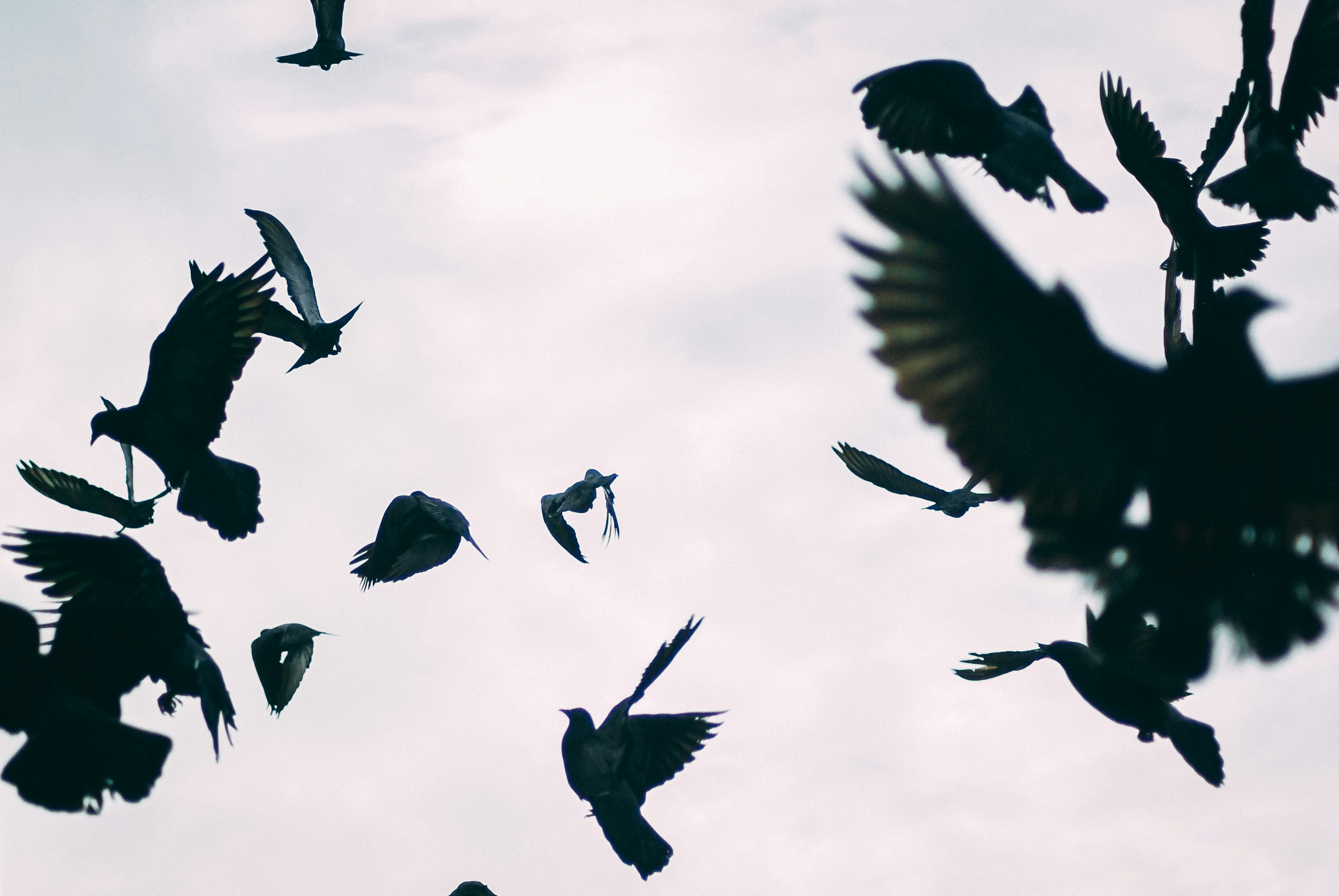 photo-1567100847488-6ef096d78be1?ixlib=rb-4.0.3&q=85&fm=jpg&crop=entropy&cs=srgb&dl=jj-shev-CcsYl5bcNEo-unsplash.jpg