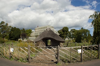 A cozy London conservatory transformed with a traditional-style plastic roof blending seamlessly with the home's brickwork.