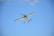 A small aerobatic airplane flies in the sky with a clear blue backdrop. The aircraft is primarily white with green and black accents.