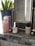 On a bathroom counter, there is a collection of cosmetic products including a pink bottle with the label 'JapanFusion', a small jar labeled 'Super Moisture Lip Balm', and a beige bottle labeled 'Beauty Pie'. A large leafy plant in a blue pot is positioned in the background next to a metallic-framed mirror.